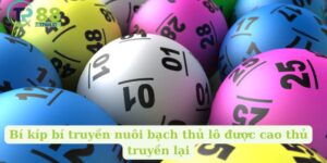 Bí kíp nuôi bạch thủ lô được cao thủ truyền lại