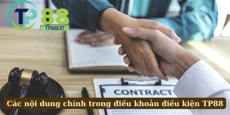 Các nội dung chính trong điều khoản điều kiện TP88