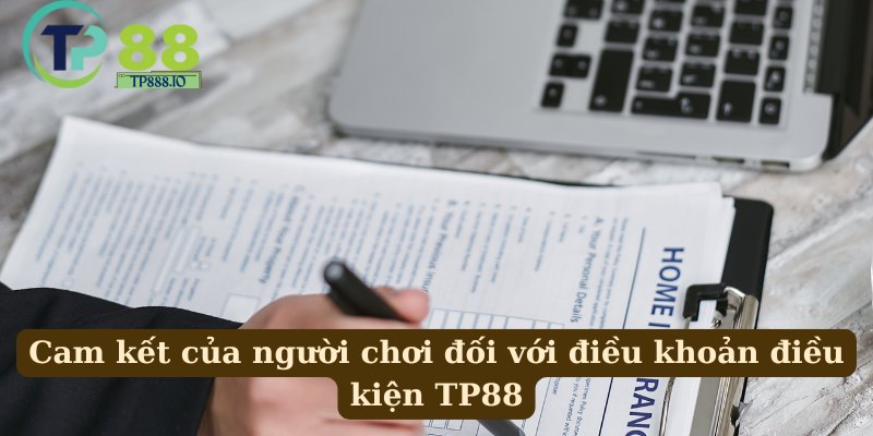 Các nội dung chính trong điều khoản điều kiện TP88