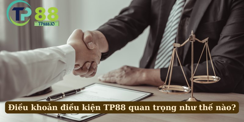 Điều khoản điều kiện TP88 quan trọng như thế nào?