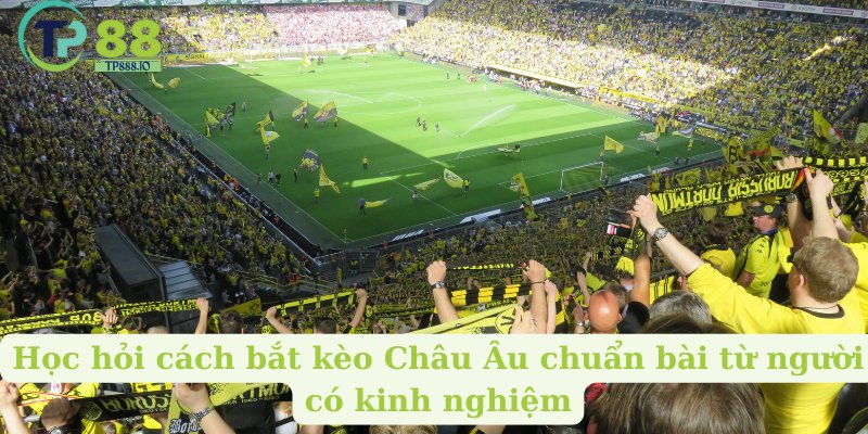 Học hỏi cách bắt kèo Châu Âu chuẩn bài từ người có kinh nghiệm