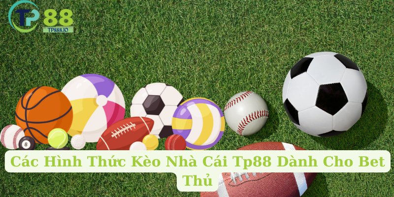 Các Hình Thức Kèo Nhà Cái Tp88 Dành Cho Bet Thủ