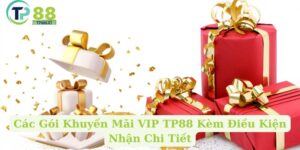 Các Gói Khuyến Mãi VIP TP88 Kèm Điều Kiện Nhận Chi Tiết