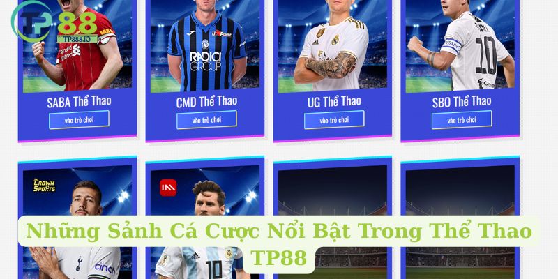Những Sảnh Cá Cược Nổi Bật Trong Thể Thao TP88