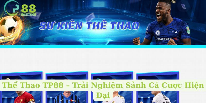 Thể Thao TP88 – Trải Nghiệm Sảnh Cá Cược Hiện Đại