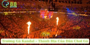 Trường Gà Kandal – Thánh Địa Của Dân Chơi Gà